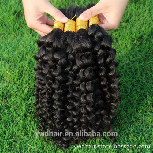 10-40INCH 8A Unprocessed Brazlian Virgin Hair Kinky Curly Raw Unprocessed Virgin Hair Brazilian Bulk Hair For Braiding Curly
